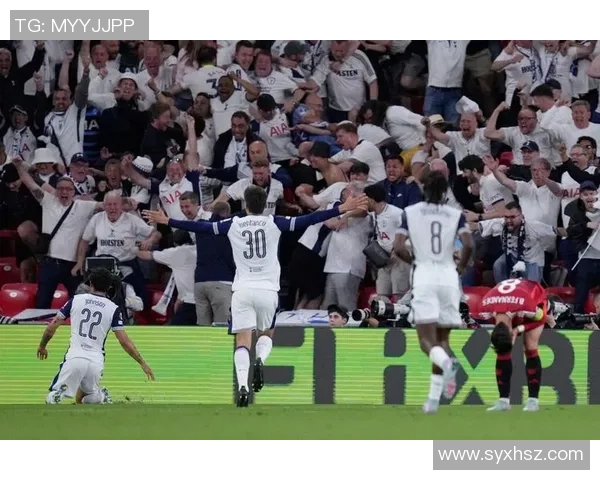 欧联杯精彩对决那不勒斯完胜热刺神扑瞬间点燃全场激情分析